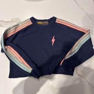 Pastel Aviator Nation cropped crewneck Surfer Core